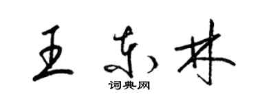 梁锦英王东林草书个性签名怎么写