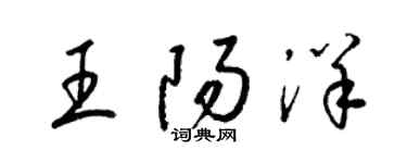 梁锦英王阳洋草书个性签名怎么写