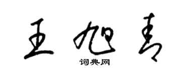 梁锦英王旭青草书个性签名怎么写