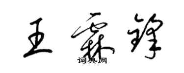 梁锦英王霖锋草书个性签名怎么写