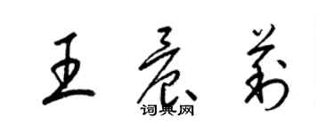 梁锦英王晨莉草书个性签名怎么写