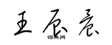 梁锦英王辰晨草书个性签名怎么写