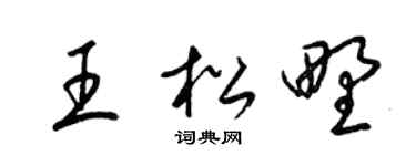 梁锦英王松野草书个性签名怎么写