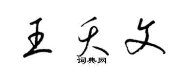 梁锦英王夭文草书个性签名怎么写