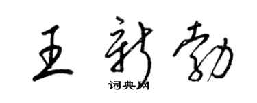 梁锦英王新勃草书个性签名怎么写