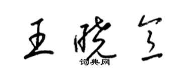 梁锦英王晓意草书个性签名怎么写