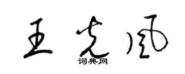 梁锦英王光风草书个性签名怎么写