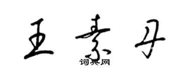 梁锦英王素丹草书个性签名怎么写