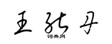 梁锦英王能丹草书个性签名怎么写