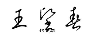 梁锦英王坚春草书个性签名怎么写
