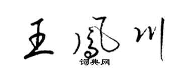 梁锦英王凤川草书个性签名怎么写