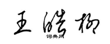 梁锦英王皓柳草书个性签名怎么写