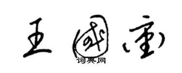 梁锦英王国冲草书个性签名怎么写