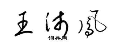 梁锦英王沛凤草书个性签名怎么写