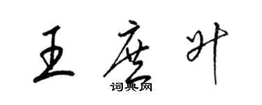 梁锦英王庶升草书个性签名怎么写