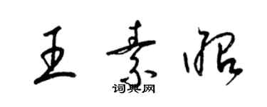 梁锦英王素昭草书个性签名怎么写