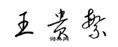 梁锦英王贵繁草书个性签名怎么写
