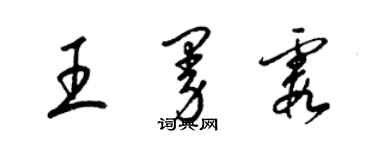 梁锦英王曼霞草书个性签名怎么写