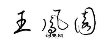 梁锦英王凤园草书个性签名怎么写
