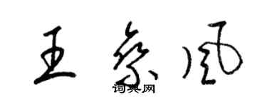 梁锦英王乘风草书个性签名怎么写