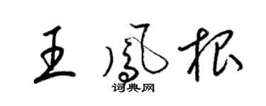 梁锦英王凤根草书个性签名怎么写