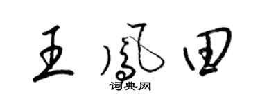 梁锦英王凤田草书个性签名怎么写