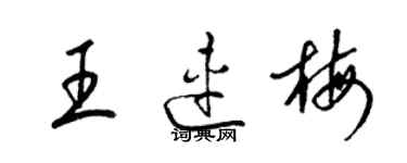梁锦英王连梅草书个性签名怎么写