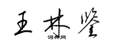梁锦英王林鉴草书个性签名怎么写