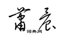 梁锦英萧晨草书个性签名怎么写