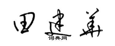 梁锦英田建华草书个性签名怎么写