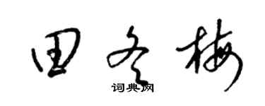 梁锦英田冬梅草书个性签名怎么写