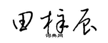 梁锦英田梓辰草书个性签名怎么写