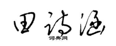梁锦英田诗涵草书个性签名怎么写