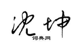 梁锦英沈坤草书个性签名怎么写