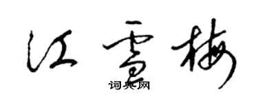 梁锦英江雪梅草书个性签名怎么写