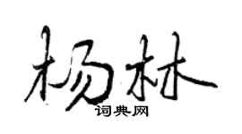 曾庆福杨林行书个性签名怎么写