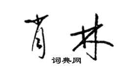 梁锦英肖林草书个性签名怎么写