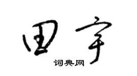 梁锦英田宇草书个性签名怎么写