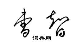梁锦英曹智草书个性签名怎么写