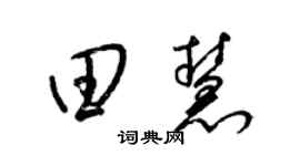 梁锦英田慧草书个性签名怎么写