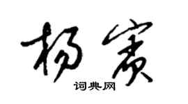 梁锦英杨宾草书个性签名怎么写