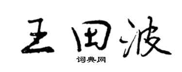 曾庆福王田波行书个性签名怎么写