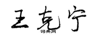 曾庆福王克宁行书个性签名怎么写
