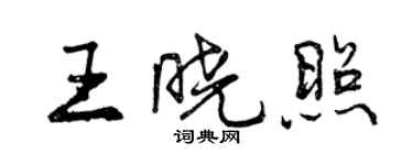 曾庆福王晓照行书个性签名怎么写
