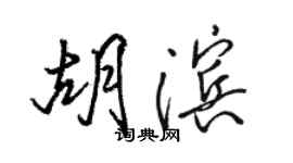 骆恒光胡滨行书个性签名怎么写