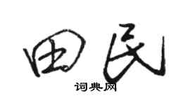 骆恒光田民行书个性签名怎么写
