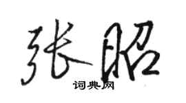 骆恒光张昭行书个性签名怎么写
