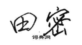 骆恒光田密行书个性签名怎么写