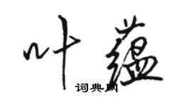 骆恒光叶蕴行书个性签名怎么写