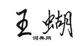 骆恒光王蝴行书个性签名怎么写